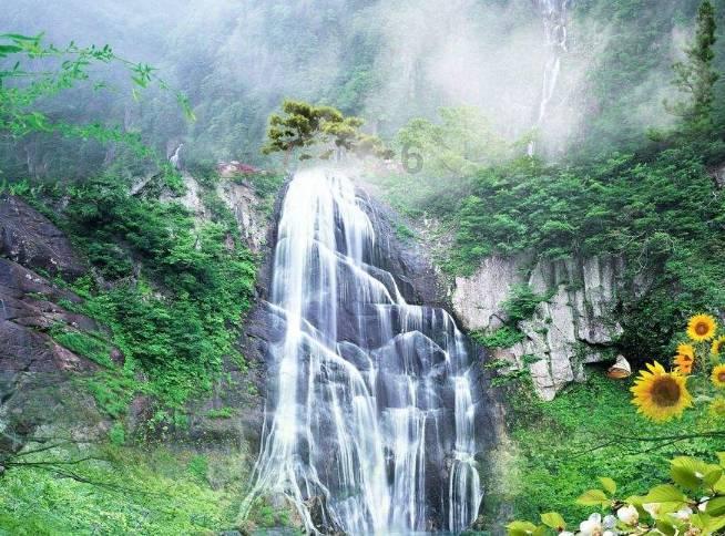 虫虫助手下载
